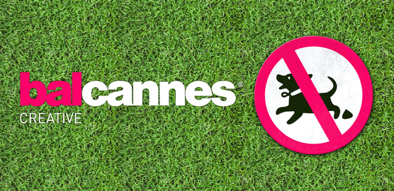 Možete odahnuti – produljili smo prijave na BalCannes