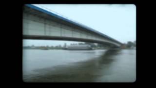 Bridge projection lifesaver